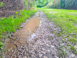 A puddle of water in the middle of a dirt road. The water reflects the sky
