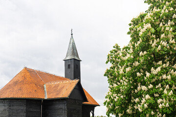 Old Wooden Church Next to Blooming Chestnut Trees on an Overcast Day, Pleso, Croatia