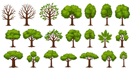 Set of isolated green trees with leaves and branches