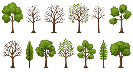 Fototapeta premium Set of isolated green trees with leaves and branches