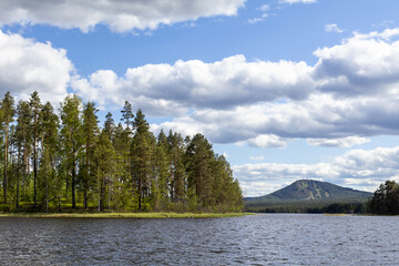 Isundaholmen island fresh spring green trees forest with Gesundaberget. Siljan lake water waves in Mora, Dalarna, Sweden. Peaceful springtime nature serene daylight sunshine blue sky background scene.