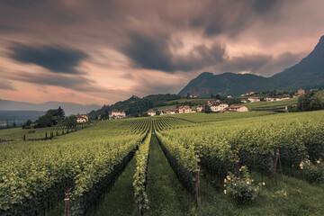 Beautiful Mountain Landscape in Eppan, South Tyrol, Italy