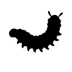 green caterpillar on white background