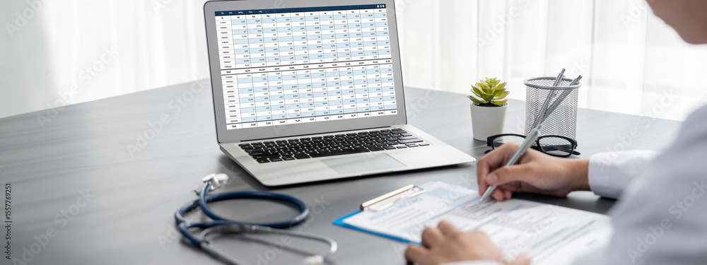 Poster accounting software on computer screen showing financial statement spreadsheets and account balance 