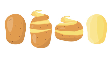Fresh potato in skins and peeled. Whole organic potatoes tubers cook ingredients. Organic healthy vegetarian food. Vector icon illustration isolated on white background.