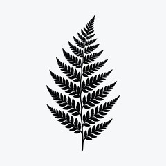 fern-leaf-silhouette-black-and-white-vector