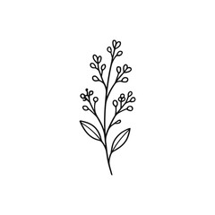 flowering-herb-sprig-outline-vector