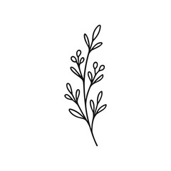 Obraz premium Vector graphic of a delicate branch, clean contour lines, elegant and understated, suitable for logos, stationery, or eco-friendly branding wildflower-sprig-outline-hand-drawn-vector