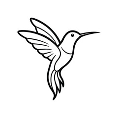 hummingbird line art on white background