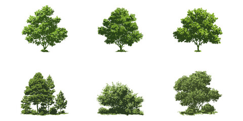 Fototapeta premium Green Trees And Shrubs Digital Vector Illustration Set. Landscape Architecture And Urban Design Collection. Isolated Botanical Elements