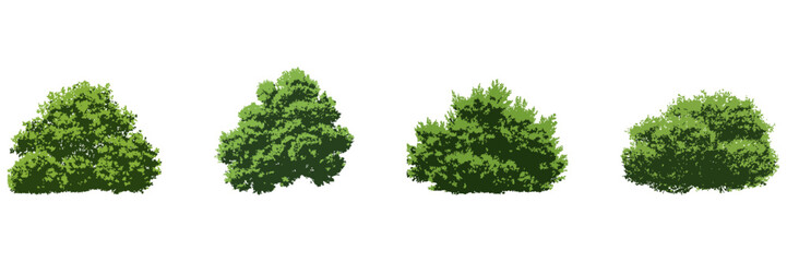 Green Bushes And Shrubs Side View Illustration Set. Environmental Design And Urban Landscape Element Collection. Isolated Vector Illustration