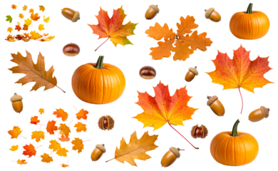 Set pumpkin and autumn leaves isolated on white background 