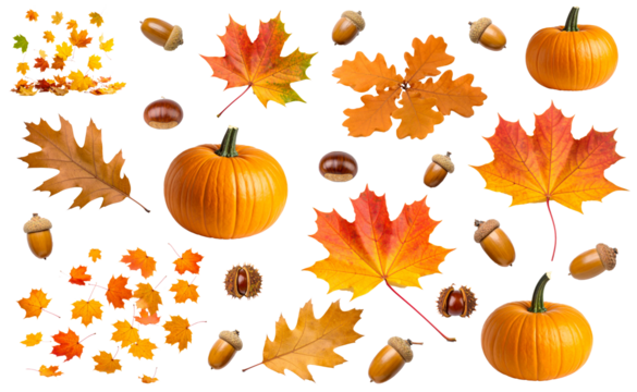 Set pumpkin and autumn leaves isolated on white background