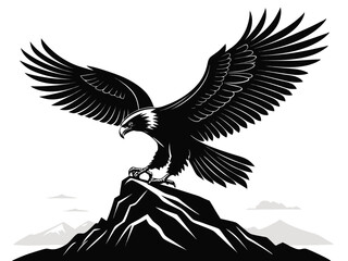 Obraz premium bald eagle in flight