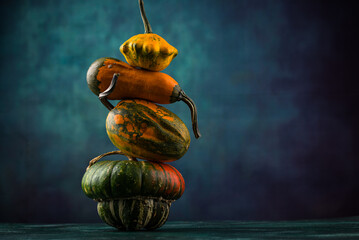 Various decorative pumpkin on green background