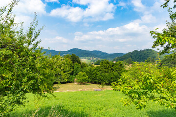 Summer landscape with mountains and fields in western Serbia