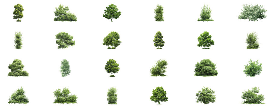 Diverse Green Trees And Bushes In Digital Vector Style. Landscape Architecture And Environmental Design Elements Collection. Isolated Vector Illustration