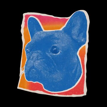 Colorful abstract dog portrait animation isolated asset, transparent 4K video, alpha channel, ProRes 4444