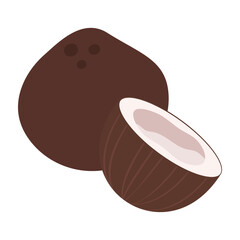 Flat illustrations of various tropical and exotic fruits on white background