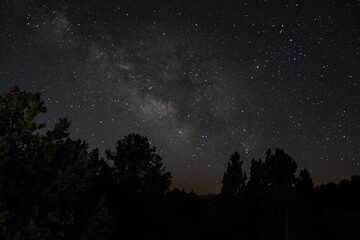 Core of the Milky Way glows over forested ridge on a moonless night, star clouds and interstellar...