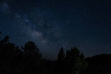 Milky Way arches in pin-sharp brilliance above dark pine silhouettes, long-exposure nightscape revealing galactic core, infinite stars and pure silence of an unpolluted remote mountain sky.