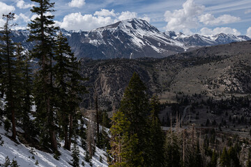 Solitary pine tree stands sentinel over a vast canyon of rugged peaks and ridges, their slopes mottled with lingering snow, under brooding springtime clouds rolling across the Sierra Nevada skyline
