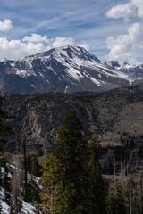Prominent pyramid-shaped summit dominates a tapestry of dark evergreen forest and rocky foothills, its sharp snow-dusted ridges cutting into cottony cumulus clouds on a clear late spring afternoon
