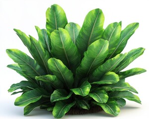 Lush tropical plant cluster