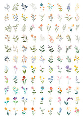 Big bundle of hand-drawn style colorful flowers and botanical leaves. Flowers Spring and Summer Set