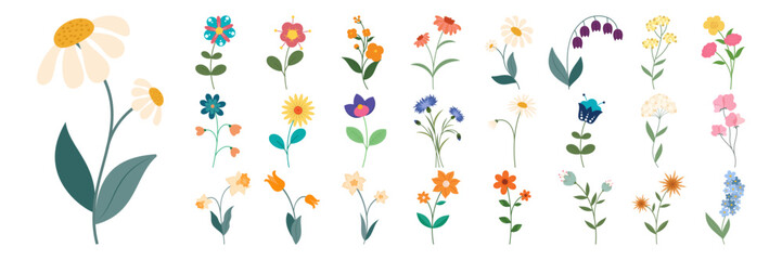 Collection of colorful wildflower and botanical illustration elements. Flat flower set