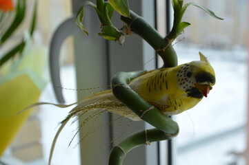 parrot on a branch at home
