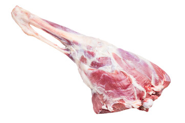 Raw whole lamb leg, fresh mutton meat isolated on white background. top view