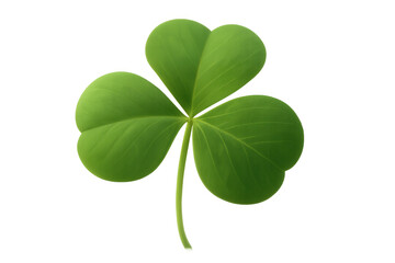 Realistic shamrock clover leaf growing on transparent background, perfect for celebrating saint patrick's day