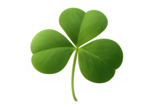 Realistic shamrock clover leaf growing on transparent background, perfect for celebrating saint patrick's day - Powered by Adobe