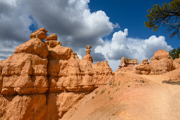 Looking at the Queens Garden Trail as it goes uphill and over a ridge through red rock hoodoo...