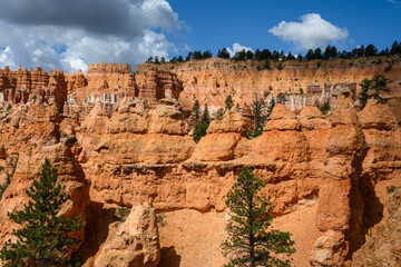Looking out from the Queens Garden Trail at red rock hoodoo formations in Bryce Canyon National...