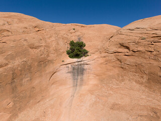 red rock canyon in moab utah at pinto arch