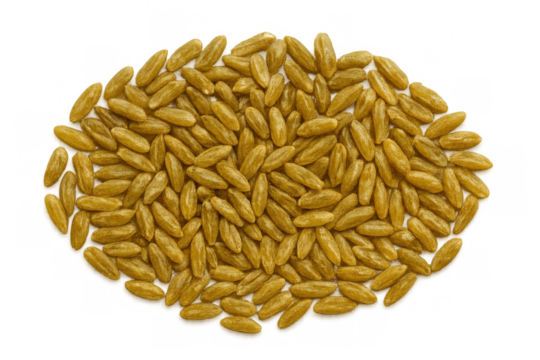 Golden long grain rice kernels forming geometric oval arrangement against clear background, displaying intricate visual texture