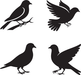 Fototapeta premium Set of bird icon silhouette vector illustration isolated On Transparent Background