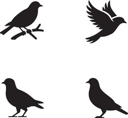 Fototapeta premium Set of bird icon silhouette vector illustration isolated On Transparent Background