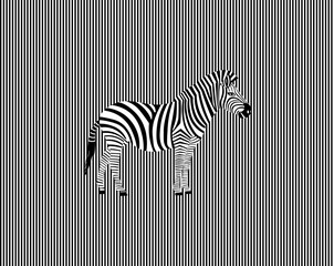 Zebra illustration on op art background.