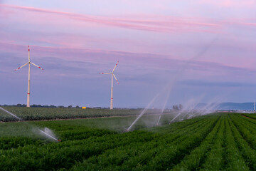 Wind turbines stand tall over a green field with rotating sprinklers at sunset, showcasing the...
