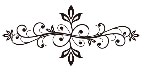 Elegant ornamental page divider with swirls and floral accents in dark brown design