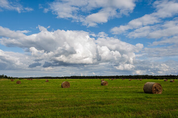 Golden hour illuminates a vast green field dotted with hay bales under a bright blue sky with dramatic clouds, near Sinim&auml;e, Estonia, in late July.