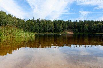 Forest lake Rääkjärv (Vasavere, Estonia) in the late afternoon of mid-August. Lush green trees and reeds reflect on the calm water, with a family visible on a small sandy beach on the opposite shore.
