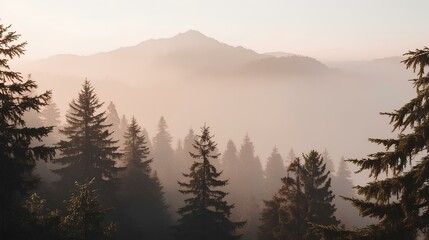 Foggy Mountain Morning Landscape
