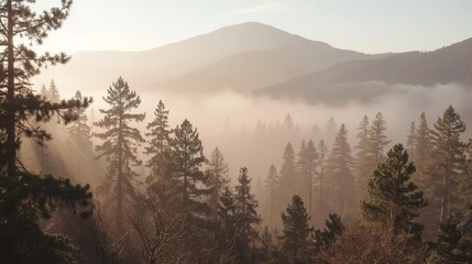 Foggy Mountain Morning Landscape
