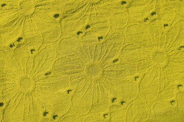 Yellow floral background. Texture of yellow fabric with floral embroidered pattern.