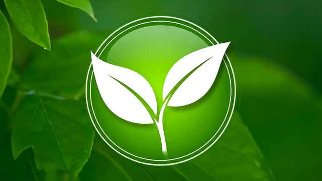 Ecological Awareness Green Plant Sprout Icon Concept Background with Nature