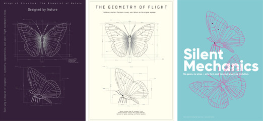 A poster featuring a butterfly drawn with technical precision. Nature’s geometry visualized through symmetry, structure, and organic design—flight mapped by evolutionary intelligence.